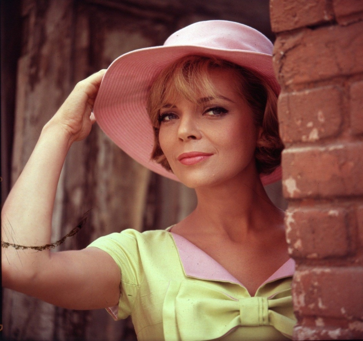 Barbara Bain Barbara Bain