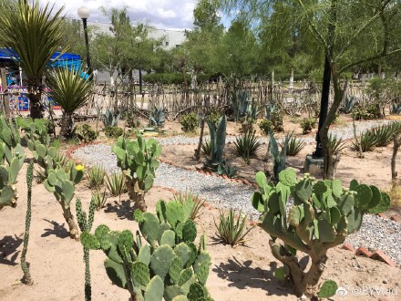 转发了BYVoid的微博:美墨边境双城记:蒂华纳、华雷斯城 http://t.cn/RQxhkRr 转发理由:探祕墨西哥「謀殺之都」:2008年華雷斯城的謀殺率高達每年每10萬人132,名列世界第一