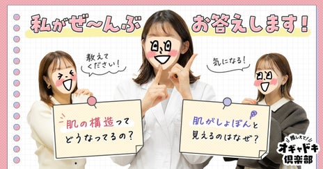 ハリ低下を感じた肌の内部で起きてることって? “マットレスみたい”が合言葉!目からウロコの肌構造レッスンの画像