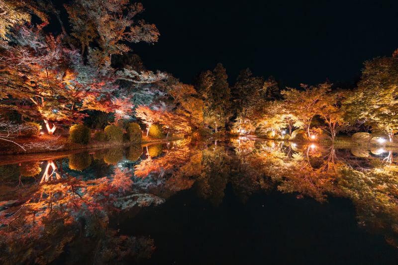 Light Cycles Kyoto (ライトサイクル京都)