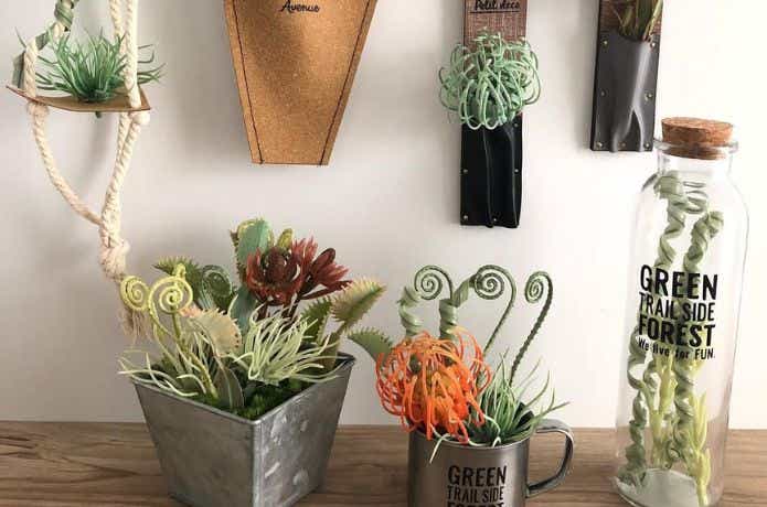 100均アイテムの観葉植物