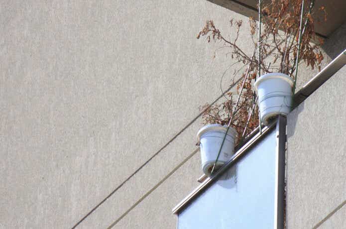 ベランダから落ちそうな植木鉢