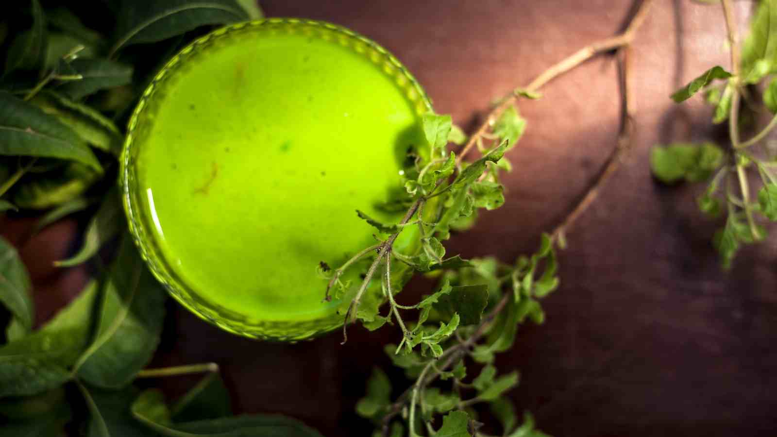 Tulsi ke istemmal se daanton ko swsth rakhein