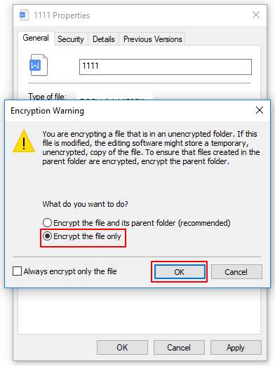 Klicken Sie auf Nur die Datei verschlüsseln