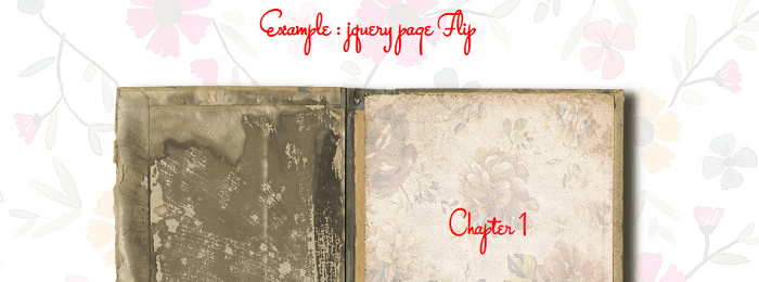jQuery Page Flip