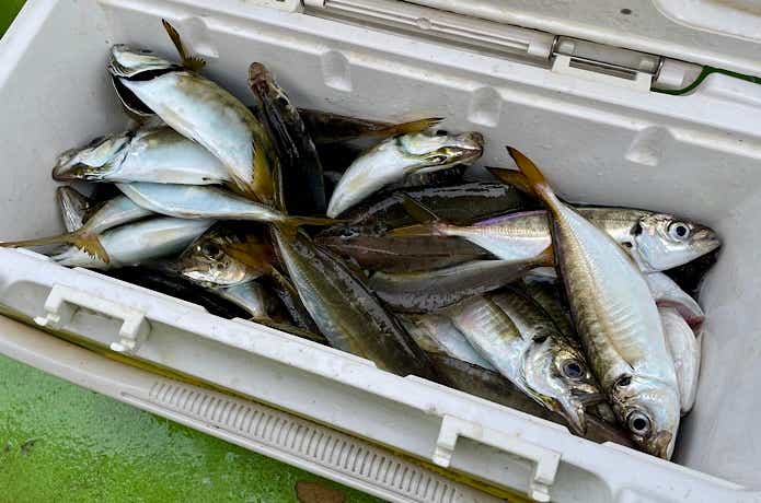 たくさん釣る8箇条