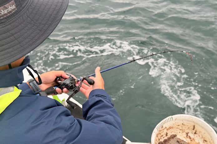 テンポが心地よい