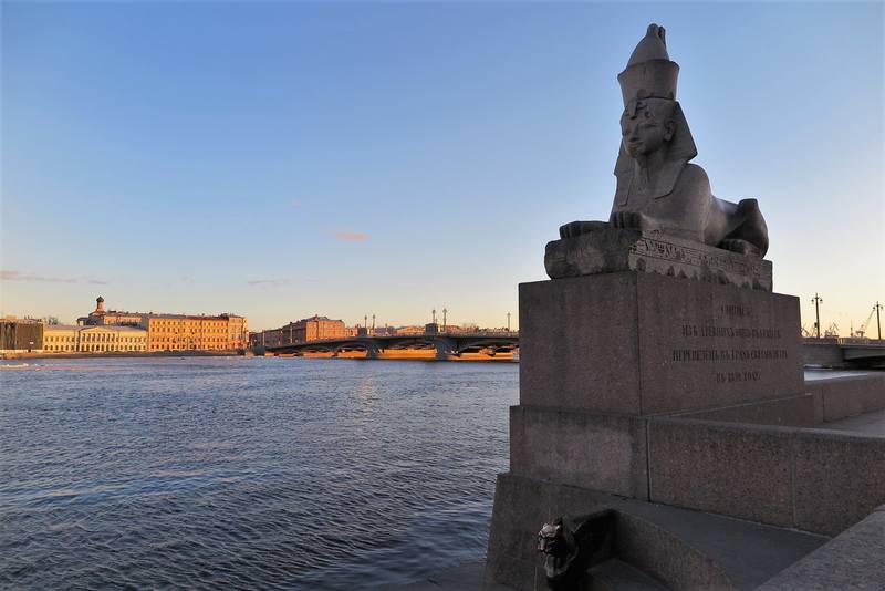 Сфинксы Петербурга Сфинксы Петербурга