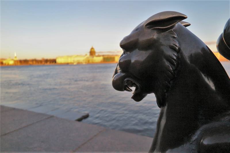 Сфинксы Петербурга Сфинксы Петербурга