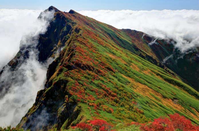 百名山の谷川岳の画像