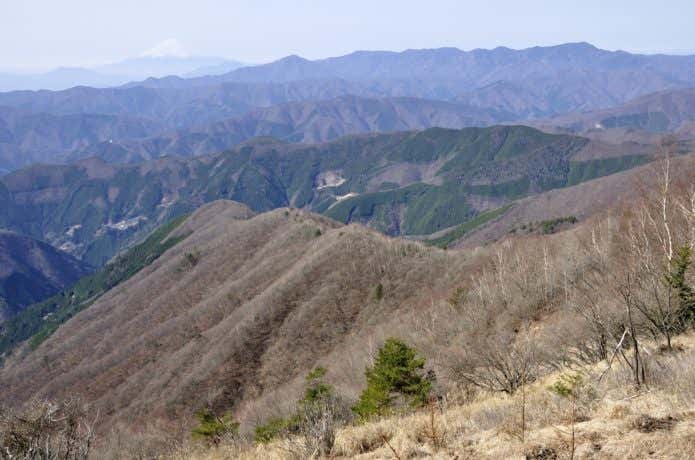 鷹ノ巣山からの眺め