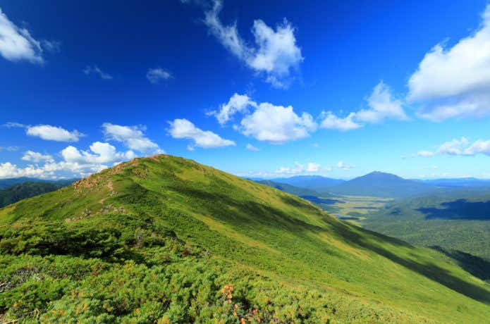 自然豊かな景色