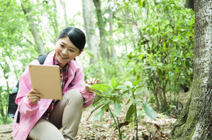 植物を観察する登山者