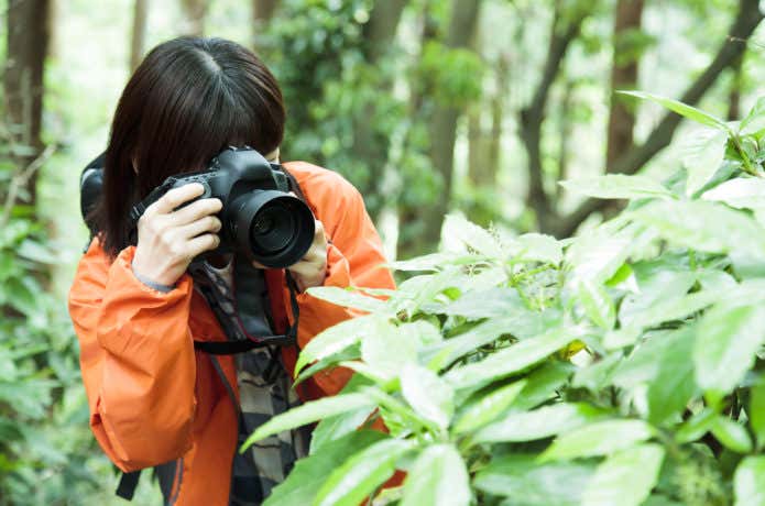 植物の写真を撮る登山者