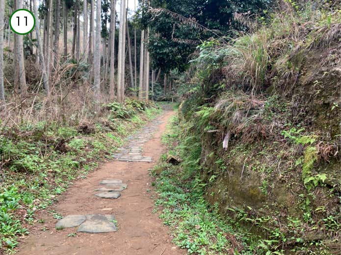 朝比奈峠はもうすぐ