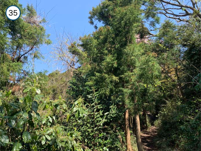 大平山が見えてくる