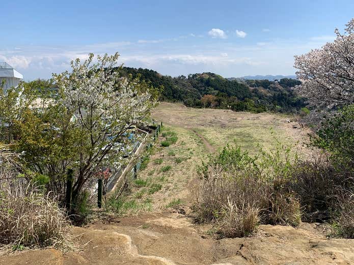 広々とした大平山の山頂直下
