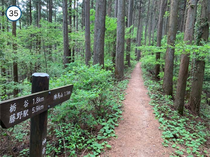 なだらかな登山道