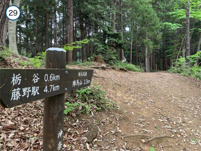 栃谷尾根に合流