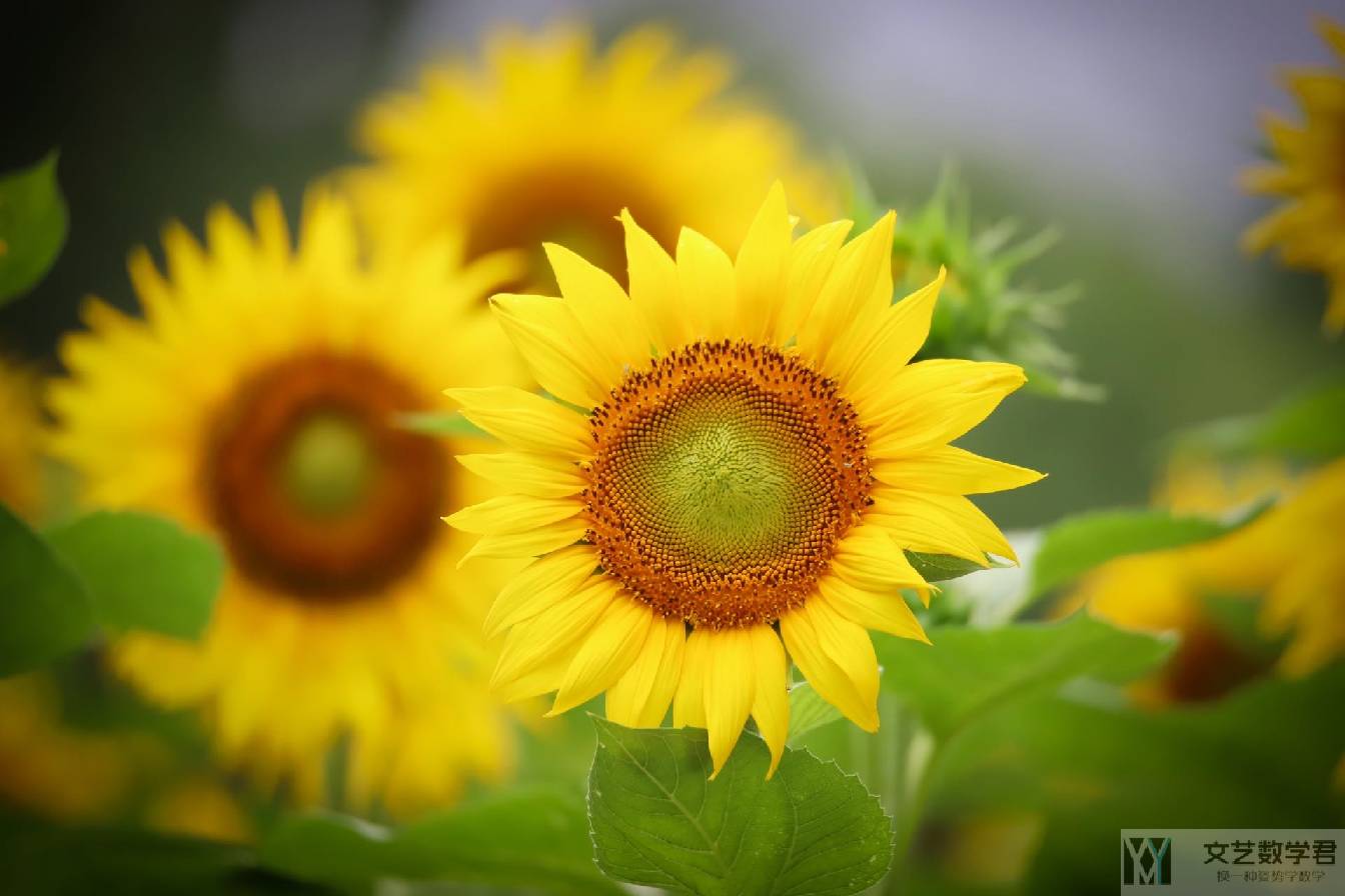 北邮人论坛十大_2022_07_04