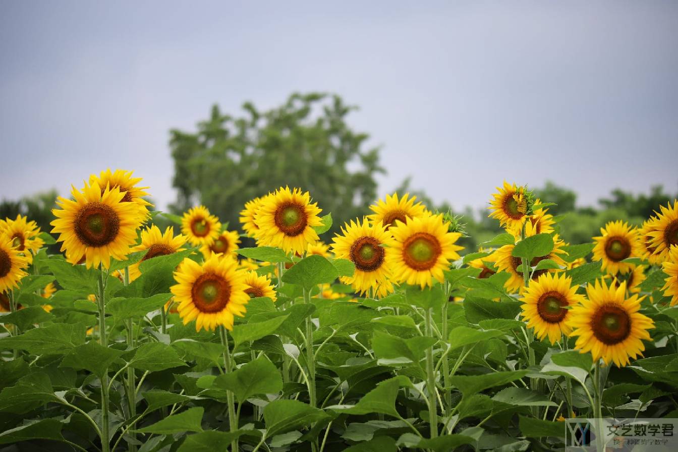 北邮人论坛十大_2022_07_04