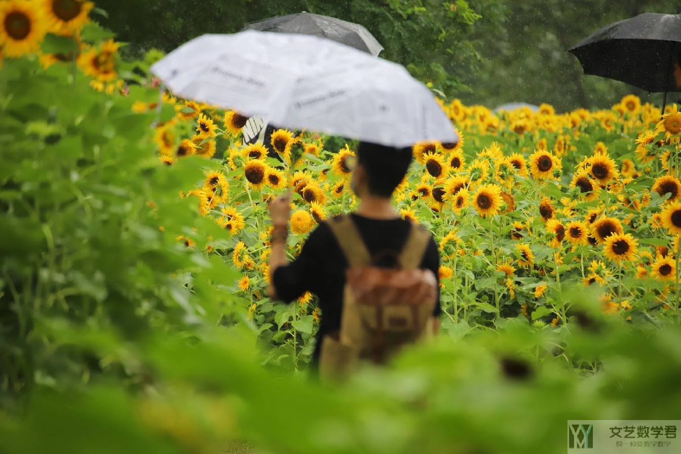 北邮人论坛十大_2022_07_04