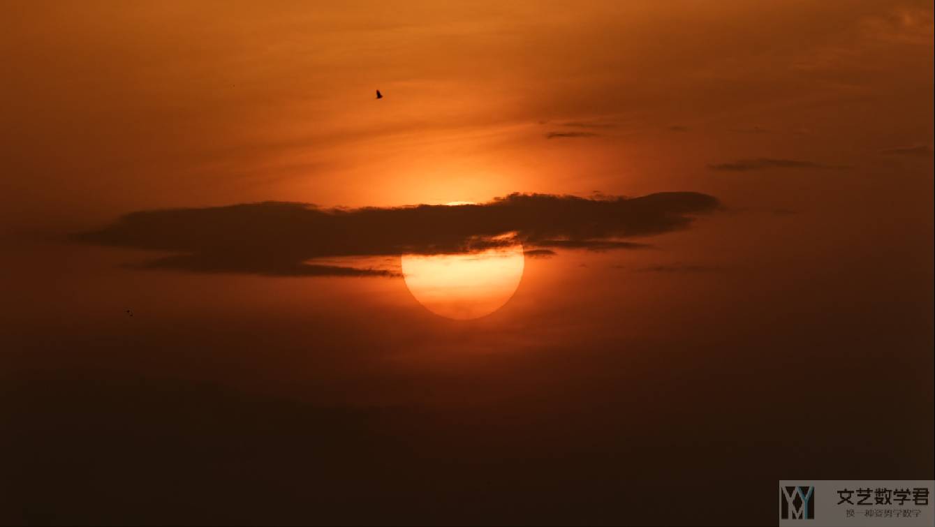 北邮人论坛十大_2024_06_14