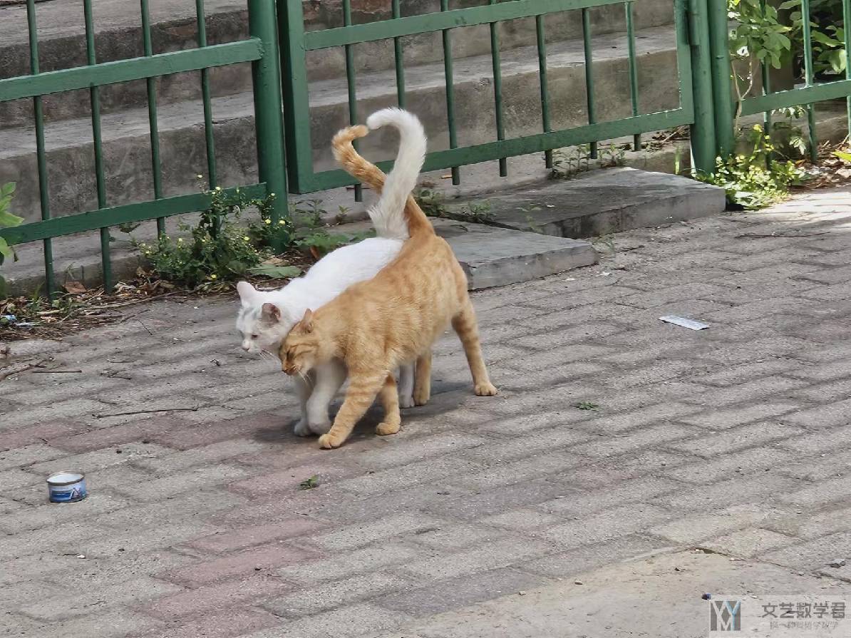 北邮人论坛十大_2024_06_15