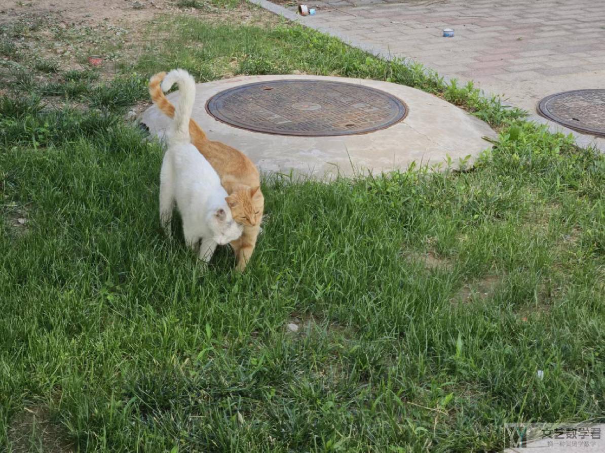 北邮人论坛十大_2024_06_15