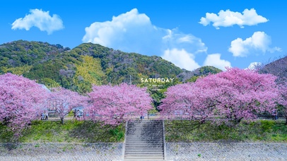 使用svnadmin减小svn版本库的大小