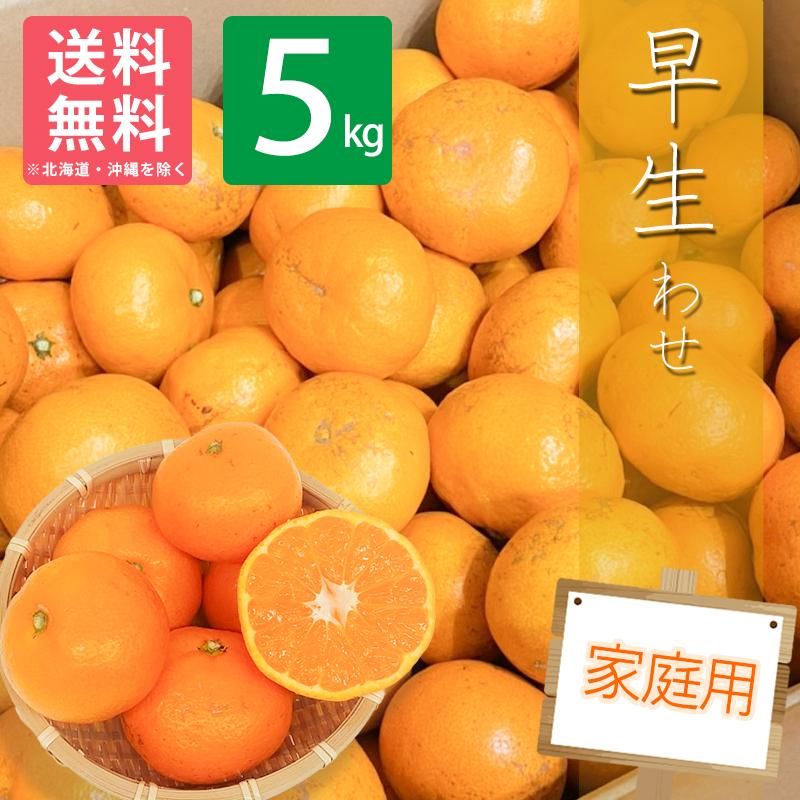 【家庭用】有田みかん 早生みかん 5kg