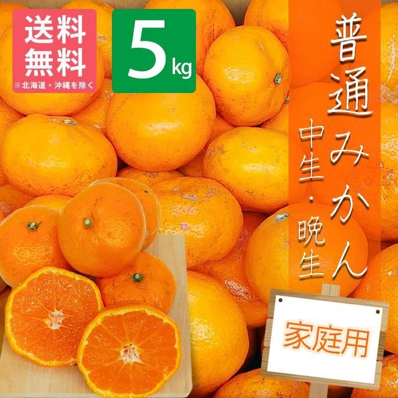 【家庭用】有田みかん 普通種 5kg