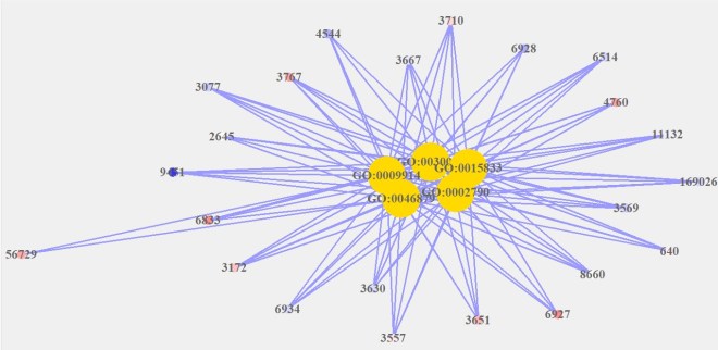 geneanswers_concept_gene_network_colors