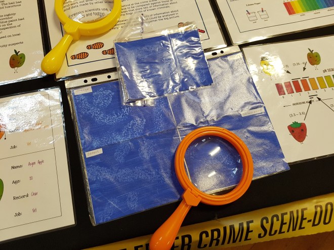 Fruit tracks at the crime scene. Excuse the glare from the plastic!