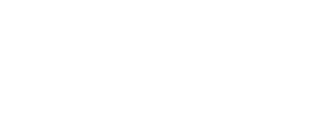 Metalinspec_Logo
