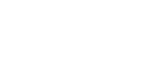 NEORIS.Logo_