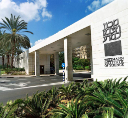 Main image for article