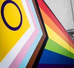 Main image for article