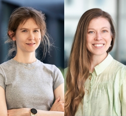 Main image for article