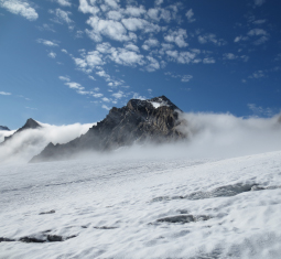 Main image for article