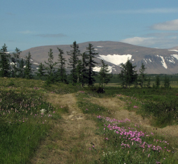 Main image for article