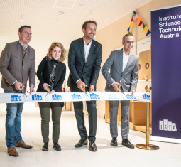 Main image for article