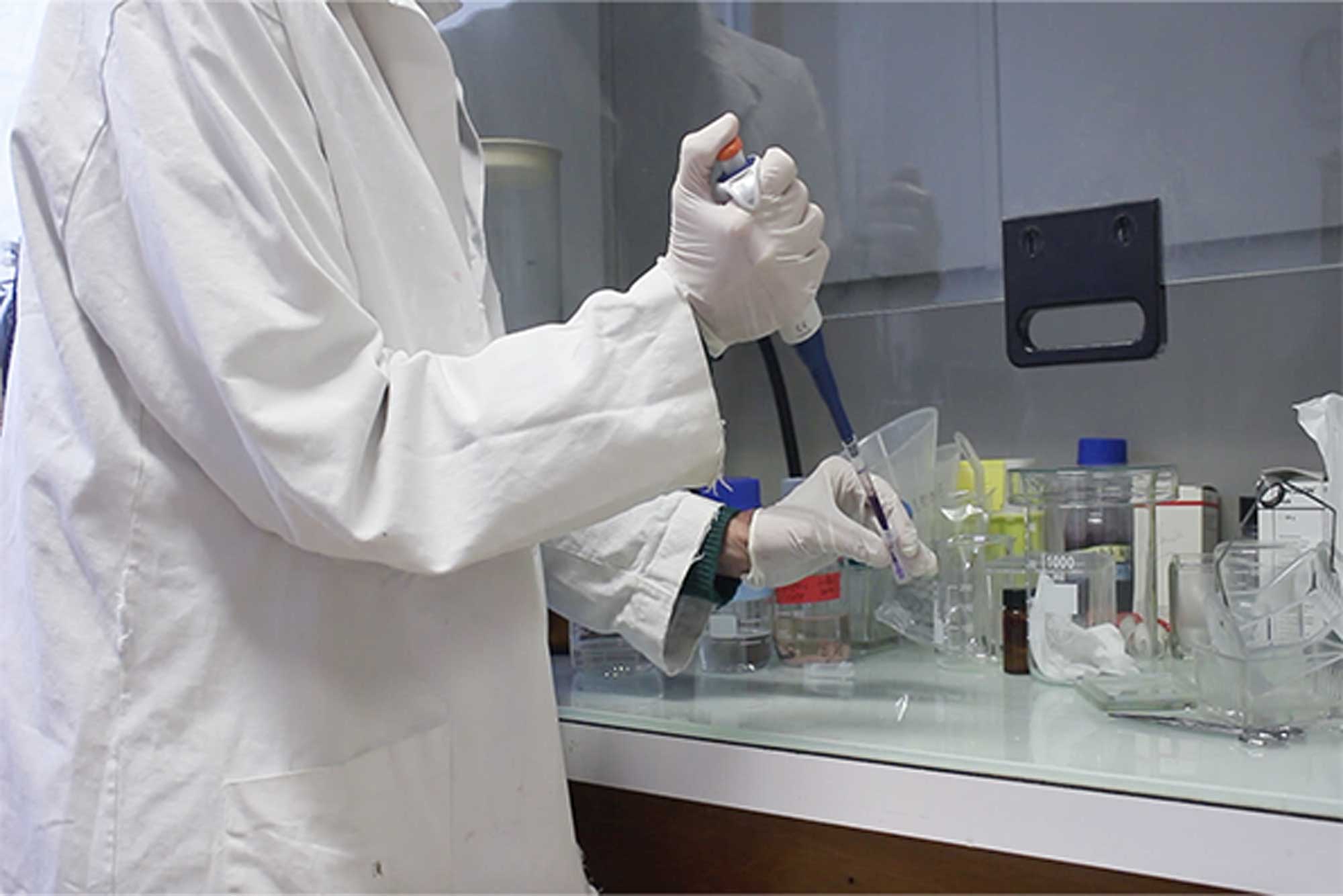 MindPulse_participe_à_la_recherche