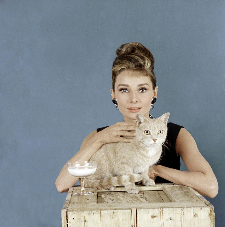 Audrey Hepburn Audrey Hepburn