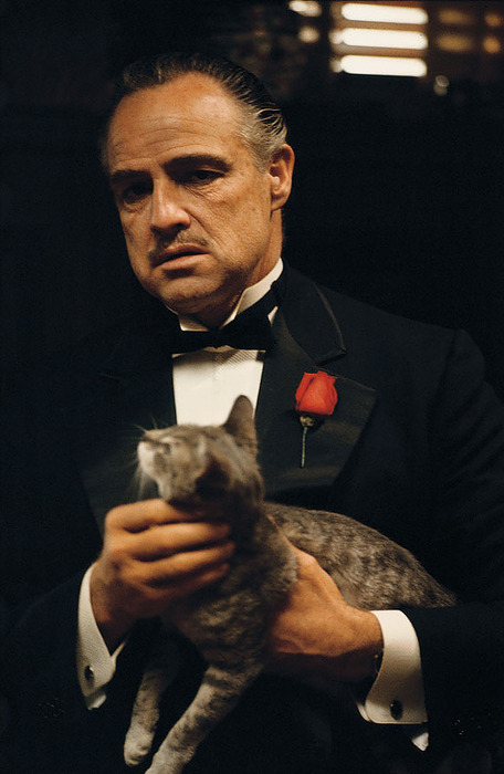 The Godfather The Godfather