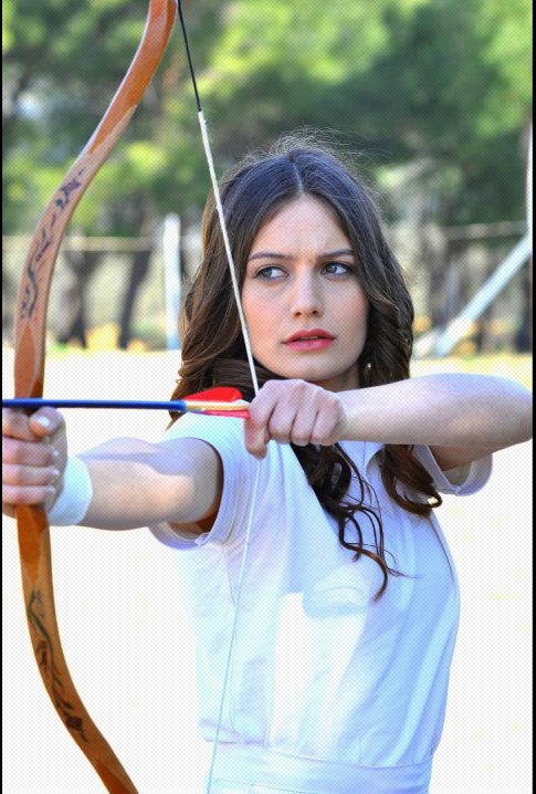 Gulcan Arslan Gulcan Arslan