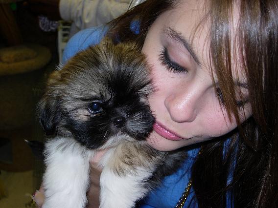 Willa Holland Willa Holland