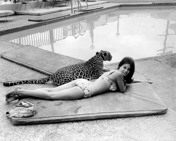 Lana Wood Lana Wood