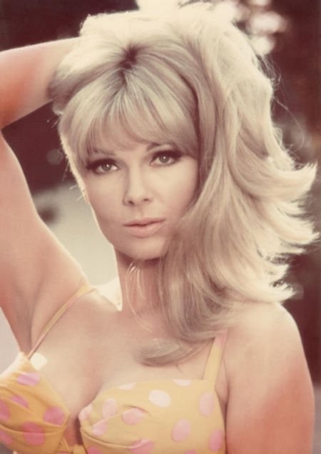 Thordis Brandt Thordis Brandt