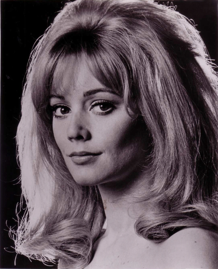 Elaine Taylor Elaine Taylor